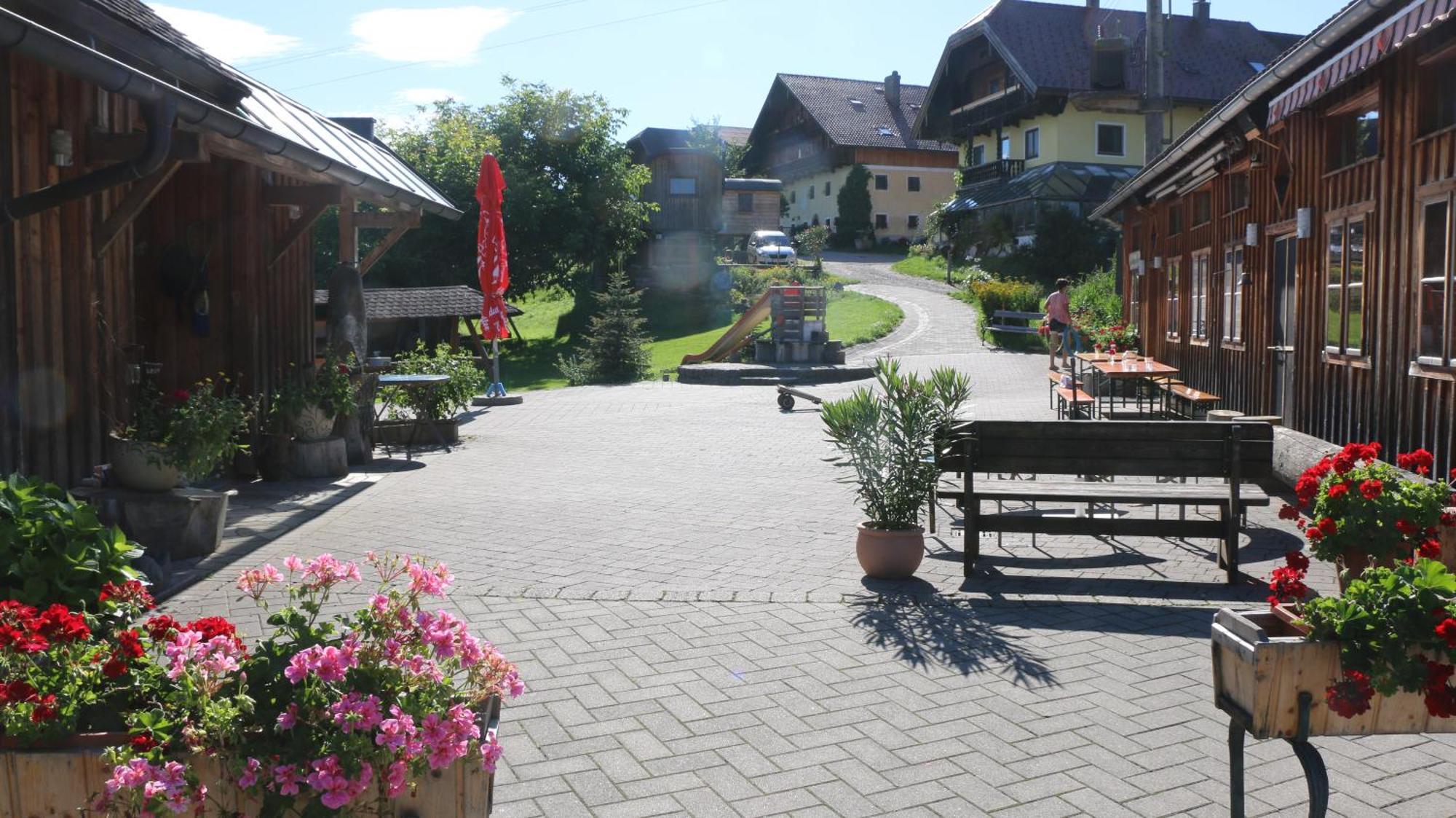 Bio Archehof Zachhiesen - Stay & Relax Seekirchen am Wallersee Exterior foto